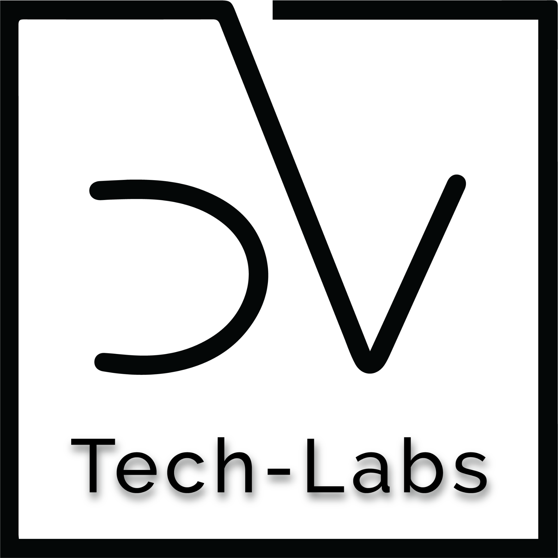 DV Tech Labs - Professional and minimalist solutions for the digital future